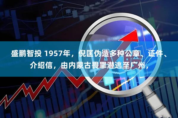 盛鹏智投 1957年，倪匡伪造多种公章、证件、介绍信，由内蒙古畏罪潜逃至广州，