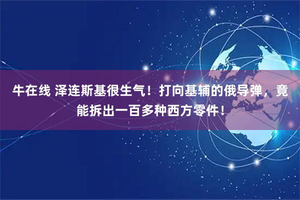 牛在线 泽连斯基很生气！打向基辅的俄导弹，竟能拆出一百多种西方零件！