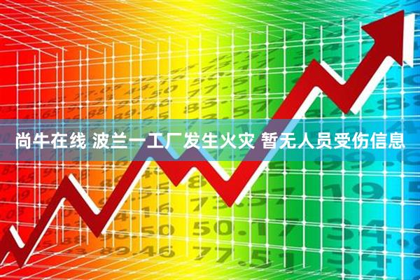 尚牛在线 波兰一工厂发生火灾 暂无人员受伤信息