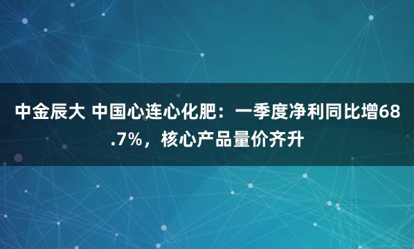 中金辰大 中国心连心化肥:一季度净利同比增68.7%,核心产品量价齐升